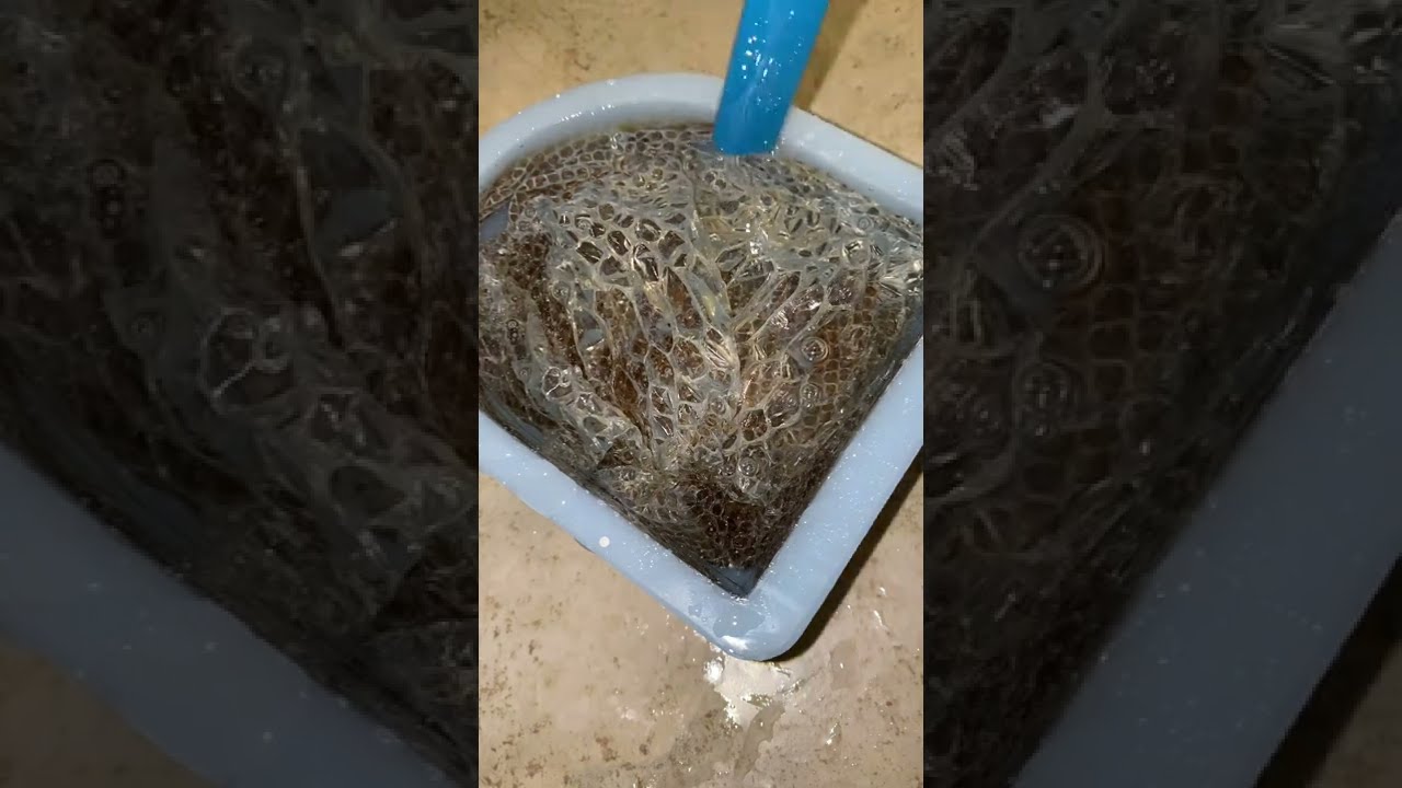 Diy Resin snake skin Arch clock🐍