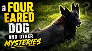 Unexplained Mysteries of the JL Ranch