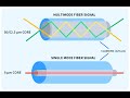 Single Mode vs Multimode Fiber: What are the Differences?