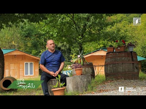 #ფერმა ლეჩხუმელი ფერმერის აგროისტორია