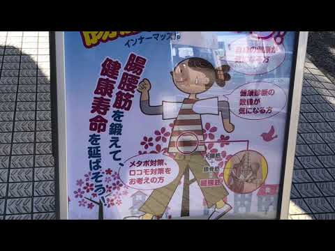 ドッグメディカル ナラシノ動物愛護病院 船橋市 周辺施設 口コミ 写真 動画