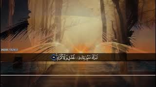 Download lagu Hamzah Elhabashy  Surah Ar Rahman , Surah Al Waqiah & Surah Al Mulk