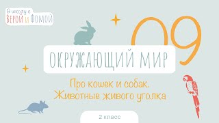 Про кошек и собак. Животные живого уголка. Окружающий мир, урок 9. 2 класс. В школу с Верой и Фомой