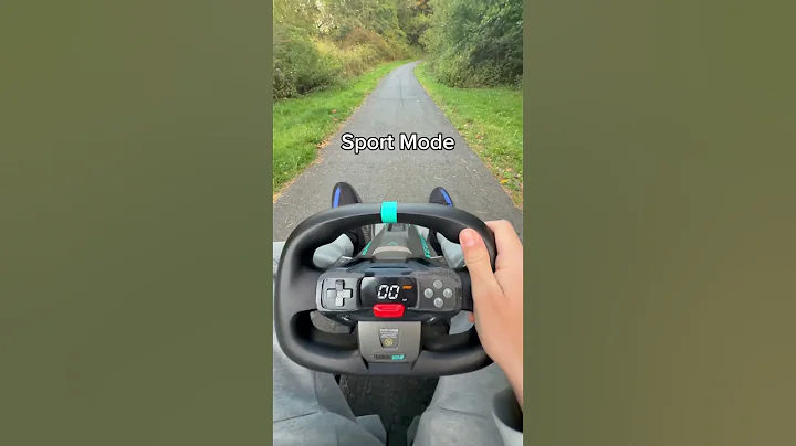 Segway Pro Kart 2 Speed Test
