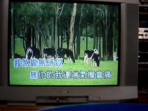 楊宗憲-愛你是我的命