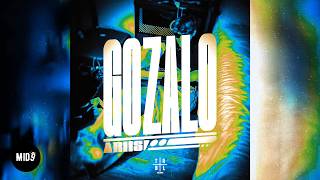 Ariis  Gozalo slowed  Brazilian Funk Phonk