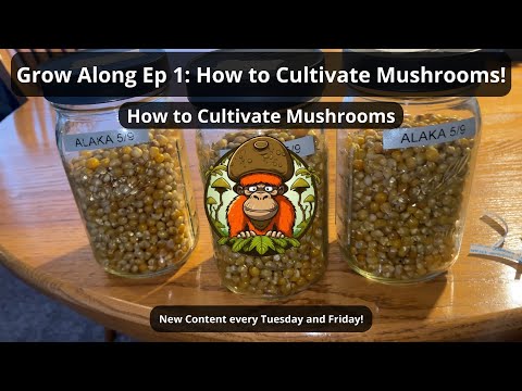 Grow Along Ep 1:  How to Cultivate Mushrooms