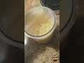 The BEST Peach Sorbet You’ll Ever Taste