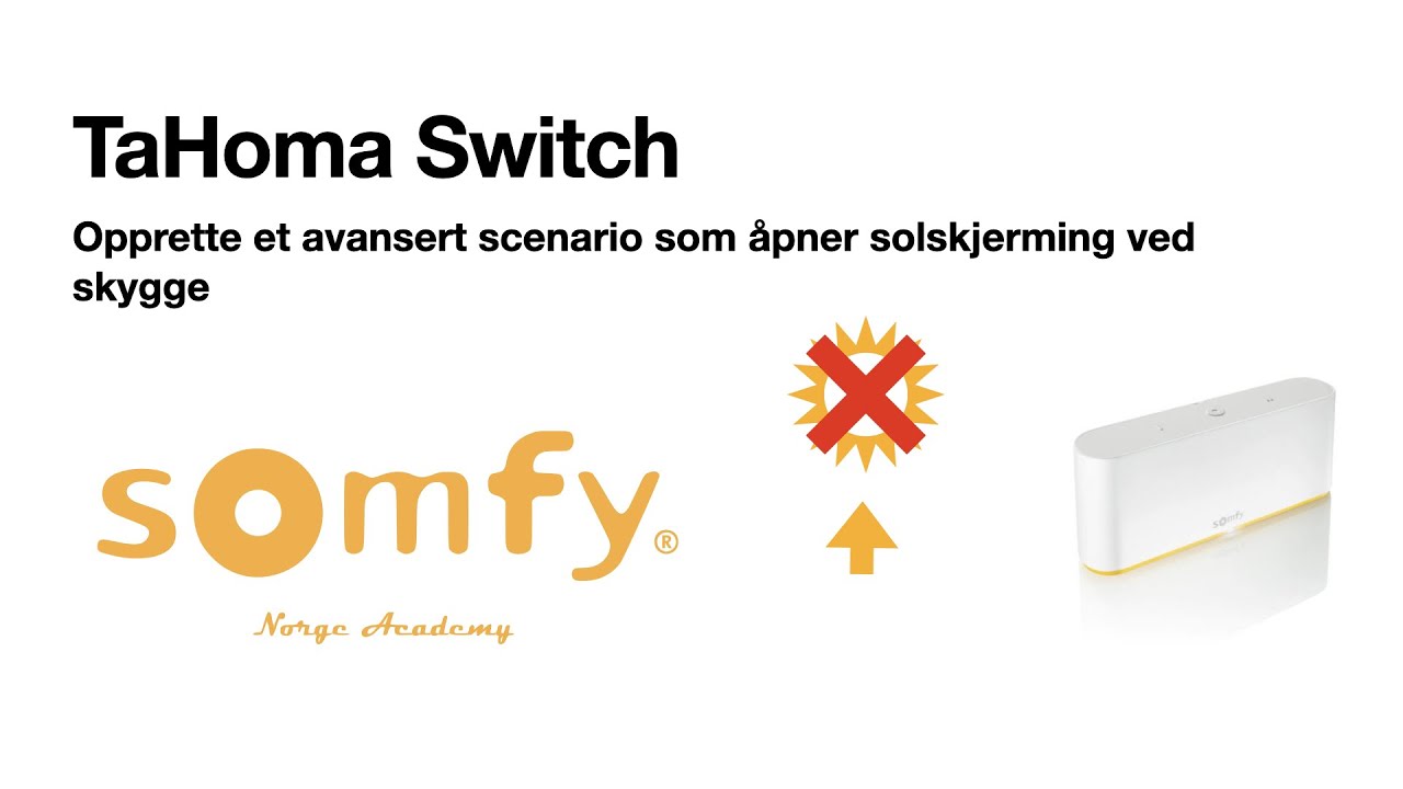 Boitier Tahoma SWITCH RTS / IO SOMFY