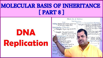 MOLECULAR BASIS OF INHERITANCE FOR NEET | PART 8 | DNA Replication Process