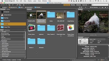 Photoshop CC 2015 Tutorial : Organization with Bridge (Opening Images In Bridge)