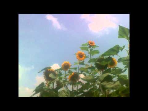 Putar Being With U - Basement Jaxx