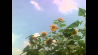 Basement Jaxx- Being With You