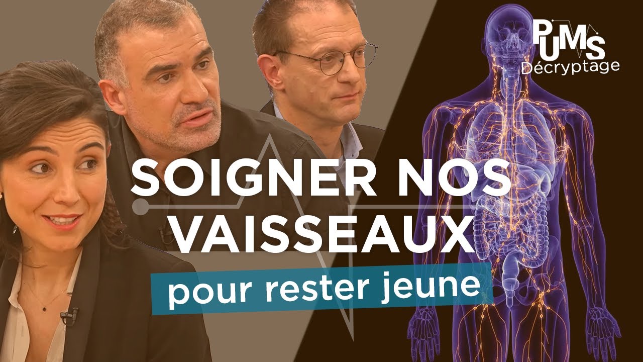 ARTERES, VEINES, vaisseaux LYMPHATIQUES :  commet les surveiller et les SOIGNER? (+la  grosse jambe)