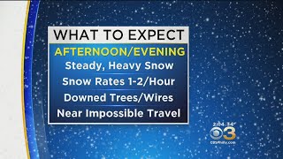 What To Expect: Nor'easter Dumping Heavy Snow, Downing Trees In Region