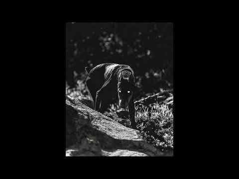 (FREE) Hard 21 Savage Type Beat - "Time to Die"