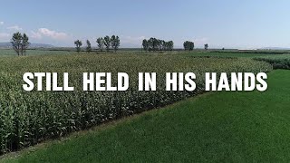 Still held in His hands | Christian Worship Song with Lyrics