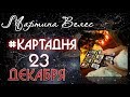 23 ДЕКАБРЯ карта дня от Мартины Велес