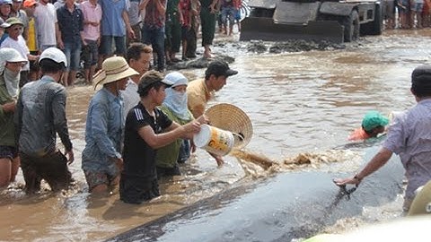 Giải Cứu Cá Voi Khủng Nặng Hơn 15 Tấn Mắc Cạn ở Nghệ AN