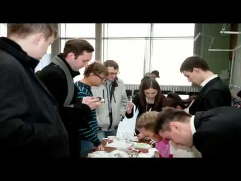Финансовые пирамиды 