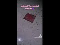 вњЁрџЊјFairy TikTok CompрџЊЉрџ љ вњЁрџЊјFairy TikTok CompрџЊЉрџ љ
