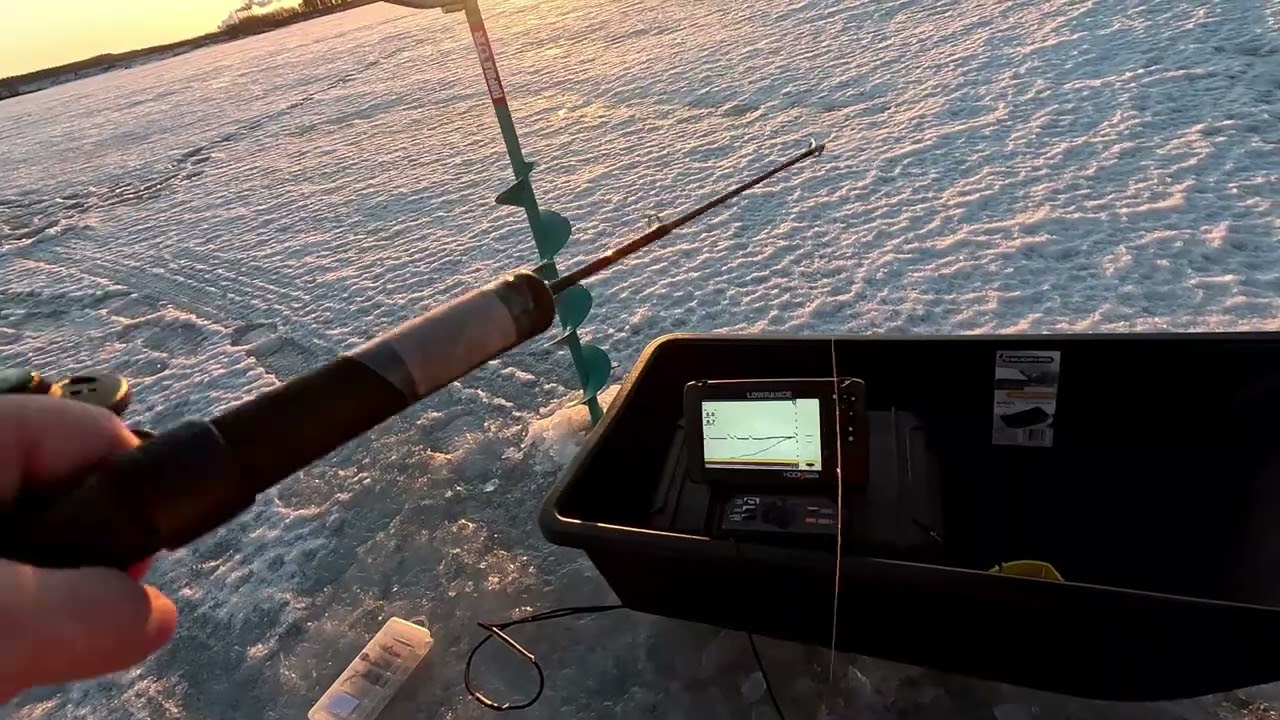 Ahvenia pilkkimässä