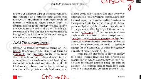Class-09 science natural resources part-05 carbon cycle chapter-14 explanation by divya