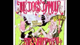 Dogs D' Amour- Empty World chords