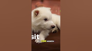 The First Howl of a Dire Wolf in Over 10,000 Years #direwolf