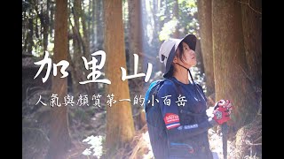 【加里山】值得體驗人氣與顏值第一的小百岳/鹿場登山口