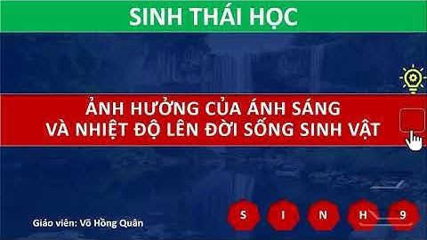 Còn người có anh hưởng thế nào với sinh vat năm 2024