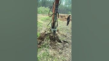 Skills for removing tree roots using machines: