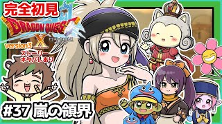 【完全初見】スライムちゃんと一緒のドラクエ10オンラインVer.3 # 37嵐の領界　※ネタバレあり【ねぐぅ/#Vtuber】概要欄確認お願いします！