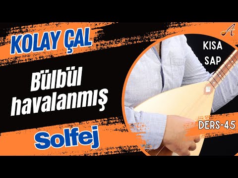 Bülbül havalanmış-Solfej(Kısa Sap Bağlama)