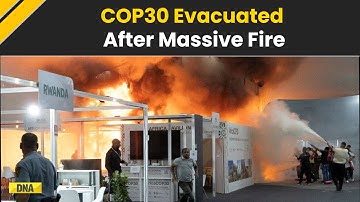 COP 30 News: Fire Breaks Out at COP30 Conference, Delegates Rushed To Safety