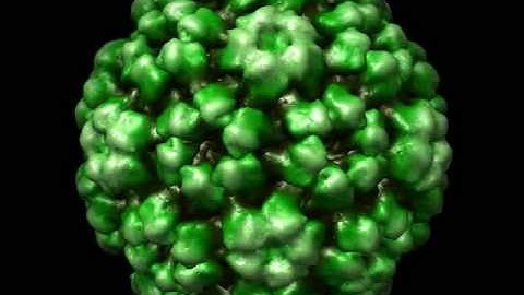 Brome Mosaic Virus - icosahedral 2-fold, 3-fold and 5-fold views