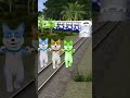 #funny mugic train #shortsfeed #comedyshorts #fun #comedyvideo #reelshorts #viral #viralvideo