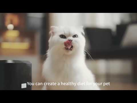 Автоматична годівниця для кішок і собак Pet Feeder 2L, смарт годівниця для тварин, Чорний, видео 1