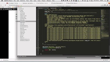 WordPress nâng cao 3: Filter