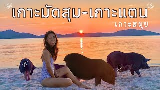 เที่ยวเกาะมัดสุม-เกาะแตน เกาะสมุย สุราษฎร์ธานี สายถ่ายรูปห้ามพลาด! l Surat Thani