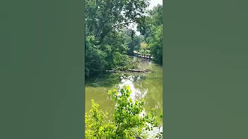 Nature Travel Enjoy Train Green Field 2025 Naturelovers 