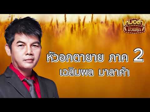 หัวอกตายาย ภาค 2 - เฉลิมพล มาลาคำ[Official Audio]
