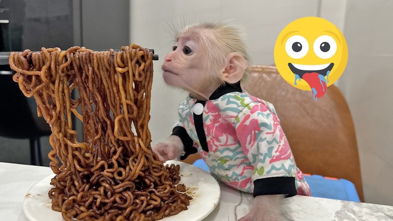 Sweet Moment: Mom - Lucky Wants to Eat Noodles
