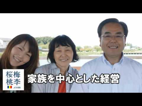 創価学会仏壇専門店 桜梅桃李 Comは一家和楽日本一の仏壇店です Youtube
