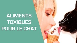 Est-ce que le fromage est toxique pour les chats ?