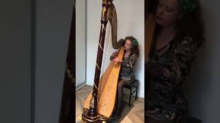 Hasselmans, Alphonse - Rouet