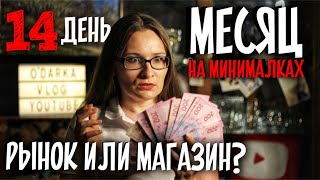 Где дешевле покупать продукты? День 14. МЕСЯЦ НА МИНИМАЛКАХ