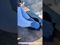 Torch-Applied Bituminous Waterproofing for Roof Drains