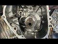 Update on The Mini Bikes