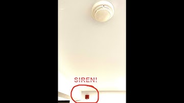 Home system test 4 | Simplex multi tone horn set to "siren" + Point labels in panel (December 2020)